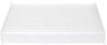 BOSCH filtras, salono oro 1987435010 272775081R