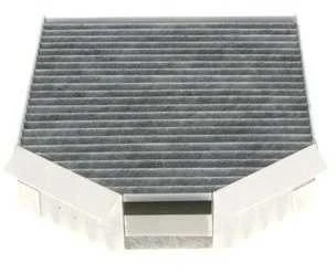 BOSCH filtras, salono oro 1987435509 C2P2410