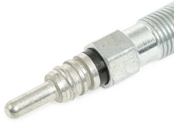BOSCH kaitinimo žvakė 0250202022 N10140104