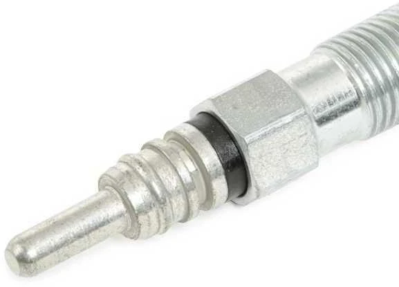 BOSCH kaitinimo žvakė 0250202022 N10140104