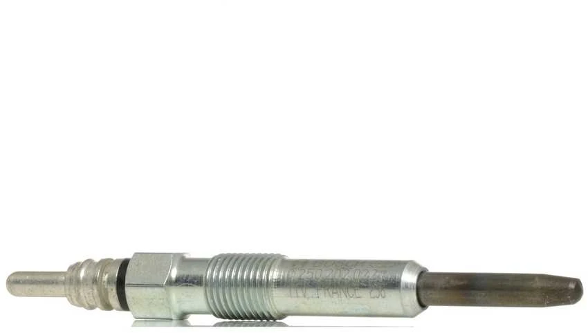 BOSCH kaitinimo žvakė 0250202022 N10140104