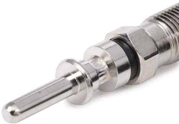 BOSCH kaitinimo žvakė 0250202043 028971766