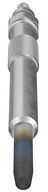 BOSCH kaitinimo žvakė 0250202048 N10140104