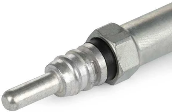 BOSCH kaitinimo žvakė 0250202128 8200445627