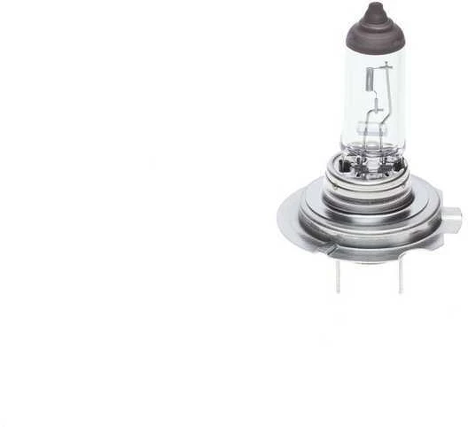 BOSCH lemputė 1987302091 64180L