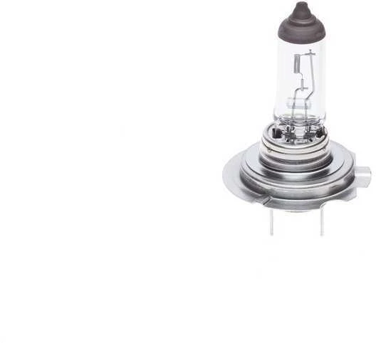 BOSCH lemputė 1987302091 64180L