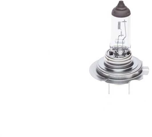 BOSCH lemputė 1987302091 64180L