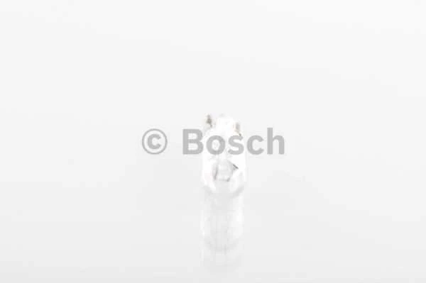 BOSCH lemputė 1987302504 2741