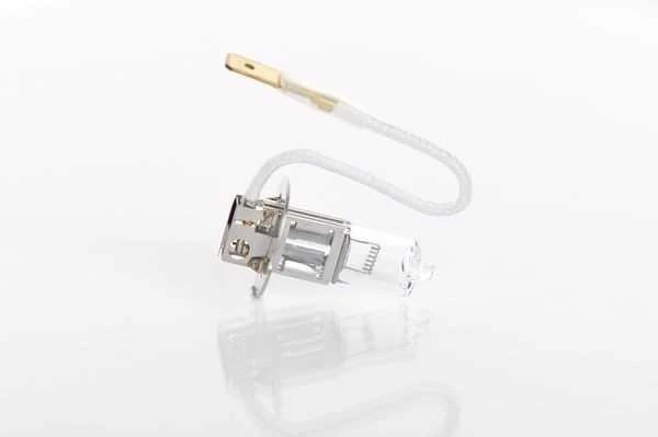 BOSCH lemputė 1987302732 64156LTS