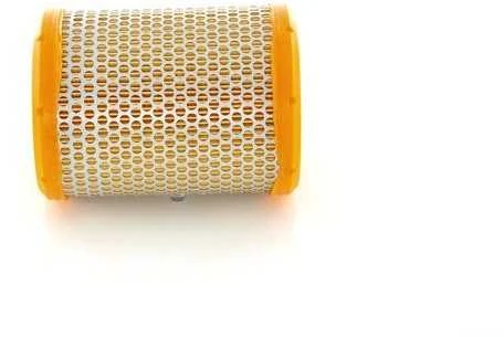 BOSCH oro filtras 1457433227 01V409057