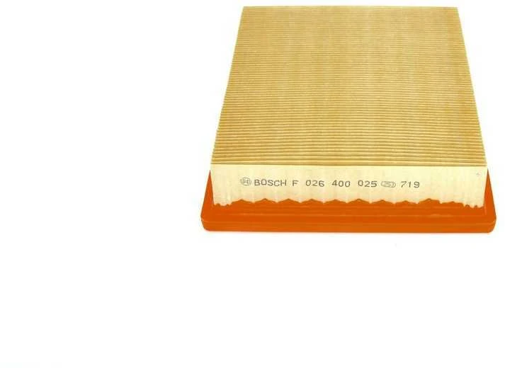 BOSCH oro filtras F026400025 0261155613