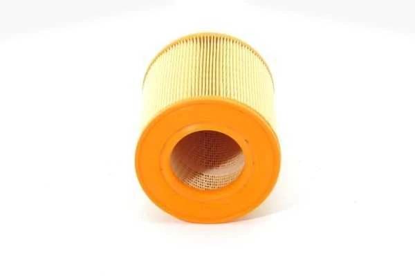 BOSCH oro filtras F026400027 4F0133843A
