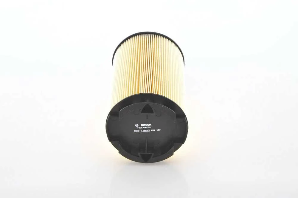 BOSCH oro filtras F026400299 13717558382