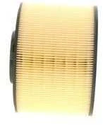 BOSCH oro filtras F026400393 8W0133843E
