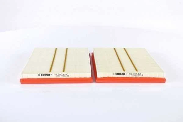 BOSCH oro filtras F026400429 A6290940104