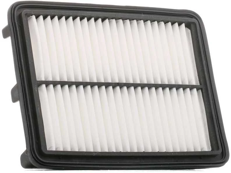 BOSCH oro filtras F026400457 0261155613