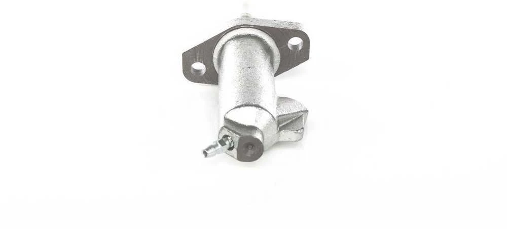 BOSCH pagrindinis cilindras, sankaba 0986486500 21521116300