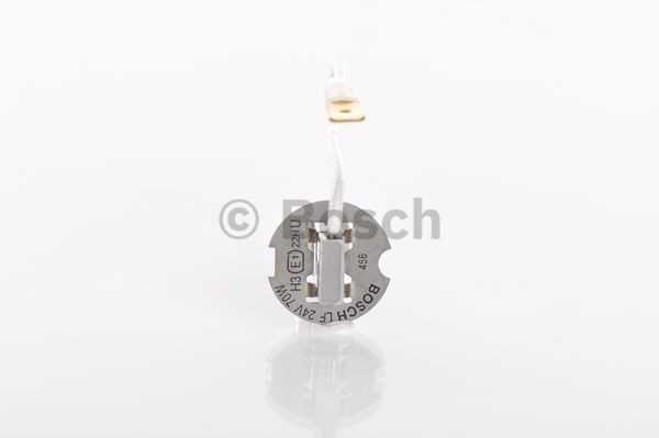 BOSCH priekinių žibintų lemputė 1987302431 OEN250570