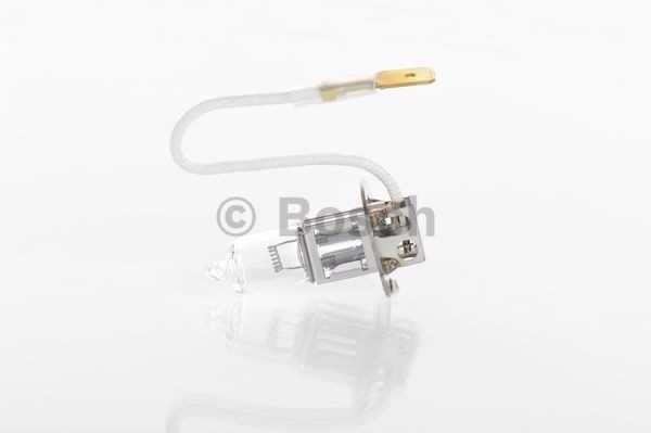BOSCH priekinių žibintų lemputė 1987302431 OEN250570