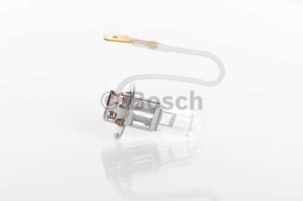 BOSCH priekinių žibintų lemputė 1987302431 OEN250570