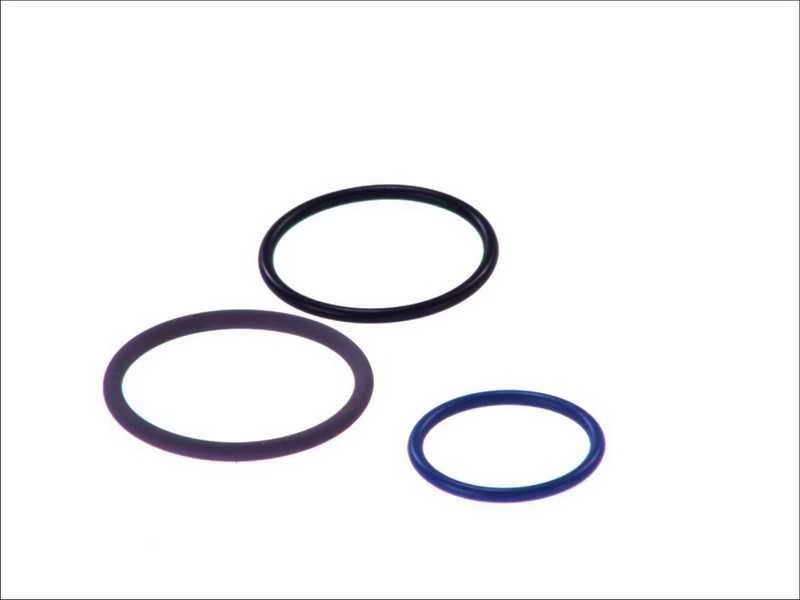 Bosch Remonto Rinkinys Scania R500 R560 R580 R620 Siurblio Ir Purkštuko Blokas