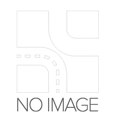BOSCH sandarinimo žiedas F00RJ00534 OEN51965010541
