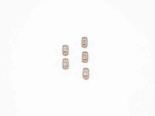 BOSCH spyruoklė F00N200700 8097893
