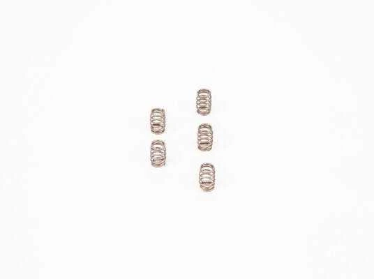 BOSCH spyruoklė F00N200700 8097893