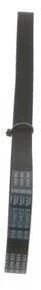 Bosch V formos diržas Citroen Dispatch Fiat Scudo Peugeot Expert 1.6 1581 ccm 79 AG 5040 7701200650 7701200651