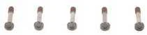 BOSCH varžtas 1003421016 90148W0012
