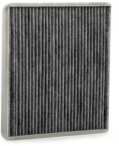 BOSCH žiedadulkių filtras 1987435516 G3010AG100