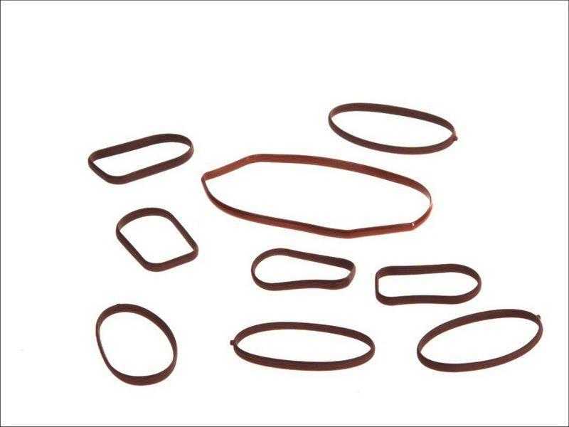 Elring Gasketų sandarinimo rinkinys Butting Grid Mercedes Benz Sprinter W901 W902 W904