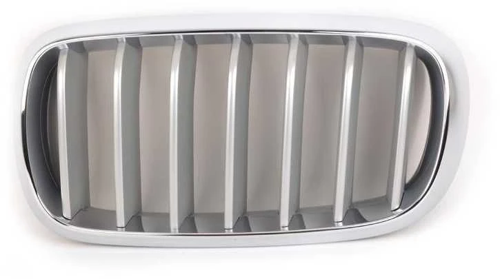 Genuine Priekinis Radiatorius Titano Inkstų Grotelės Kairė Tinka BMW X5 F15 2014-