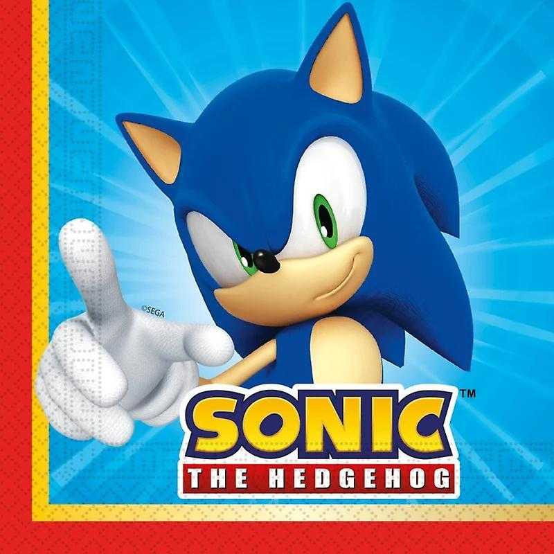 Gimtadienio indų rinkinys - Ežiukas Sonic