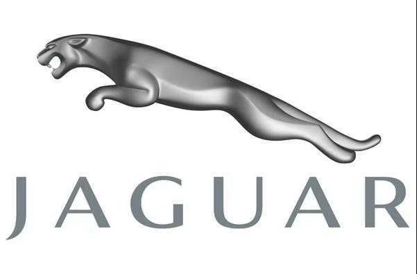 JAGUAR F-PACE X761 F Pace Galinis Emblemas T4A7981 Naujas Originalus