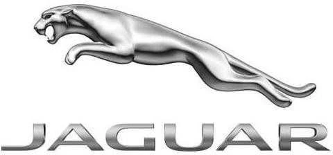 "Jaguar" jungiklis-apsaugos jungiklis originalusC2D27159