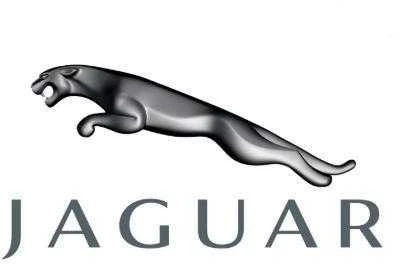 "Jaguar" originalus elementas-žibintas C2C11315