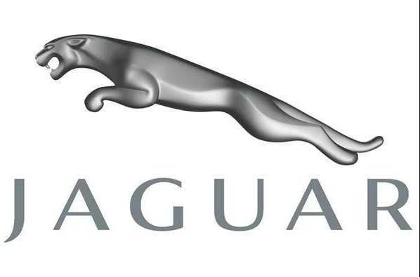 JAGUAR XE X760 priekinio numerio ženklo laikiklis originalus T4N3029