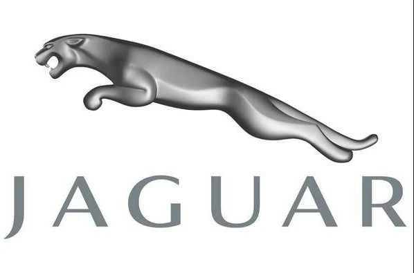 Jaguar Xe X760 Priekinis Lankstuvas Originalus T4N26174