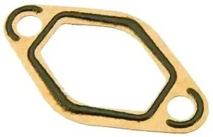 Jaguar XJ XJ40 XJ81 Vandens Šilumokaičių Gasket Originalus EAC9745