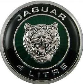 Jaguar XK8 X100 Galinių durelių bagažinės dangčio emblema Ženklas Logotipas Originalus HJB5985BD