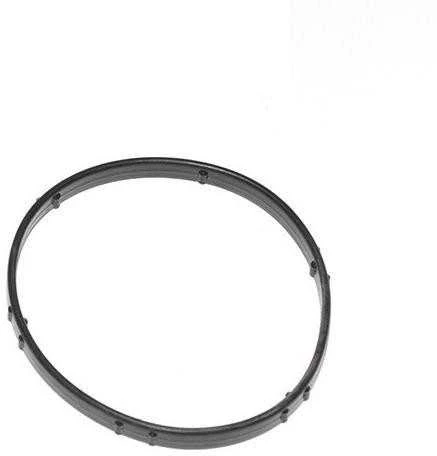 Land Rover Range Rover Sport LR3 Termostato Gasket Seal 4362513 Naujas