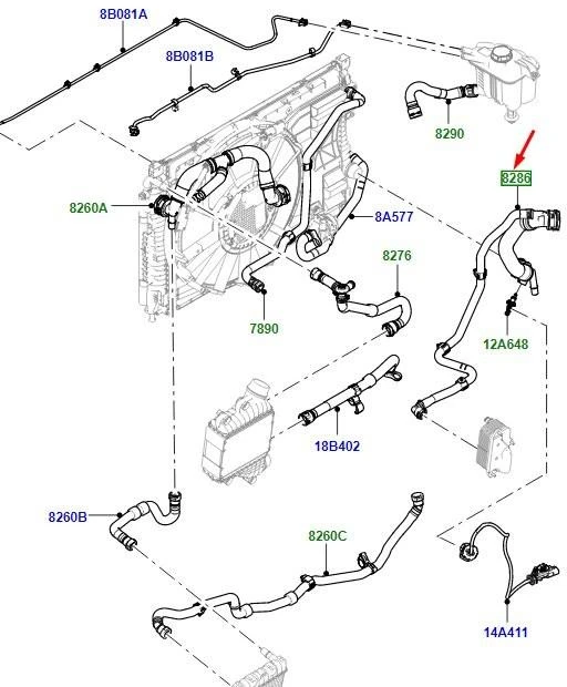 Land Rover Žemutinis Radiatoriaus Šlaunis LR115066 Originalus LR115066