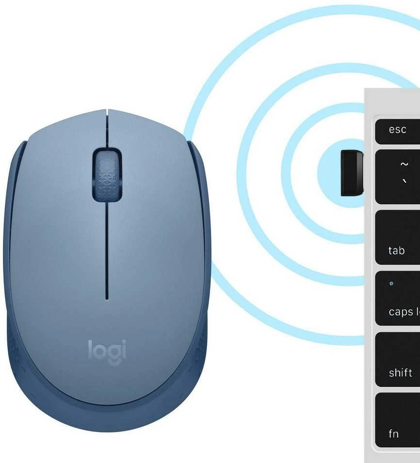 LOGITECH M171 Belaidė pelė - Mėlynas Pilkas
