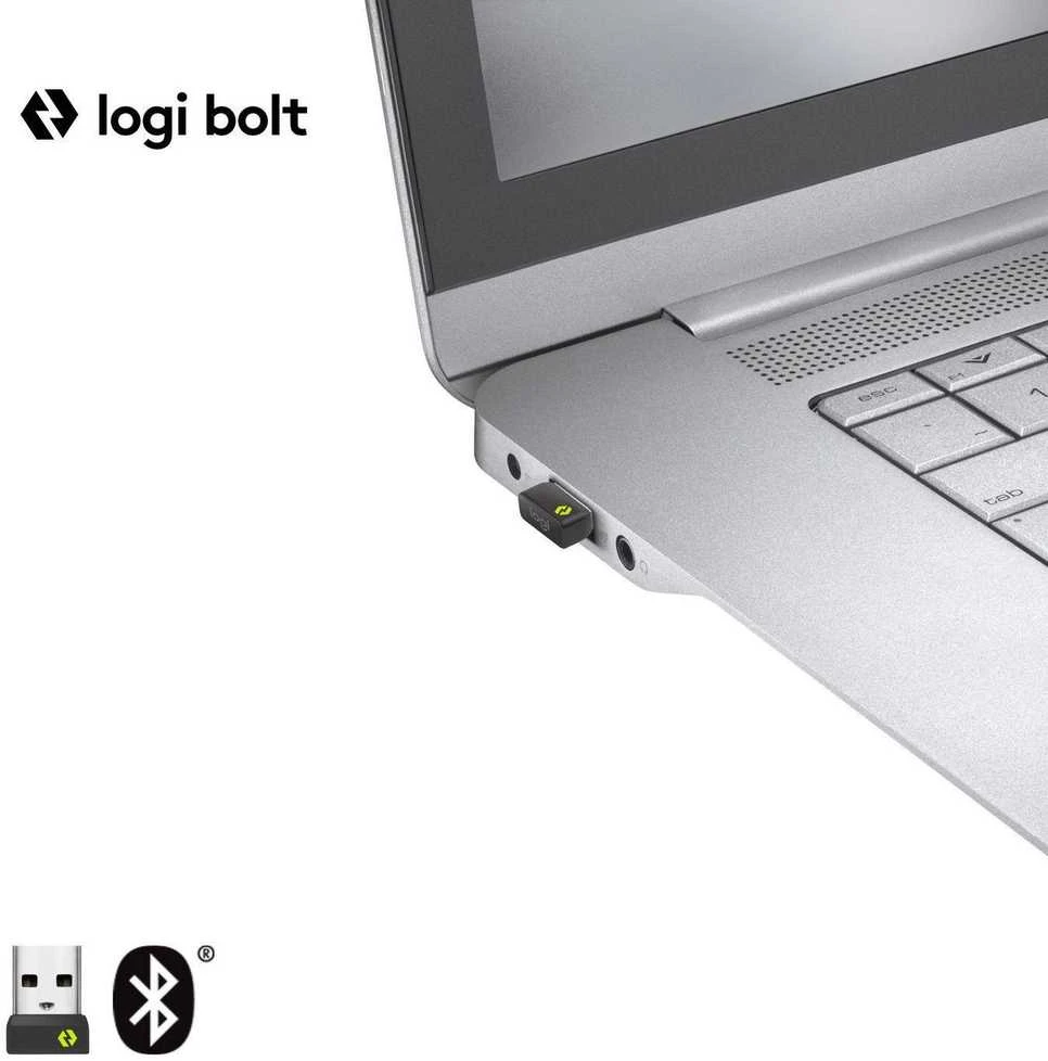 Belaidė pelė Logitech Signature M650 L, grafito spalvos
