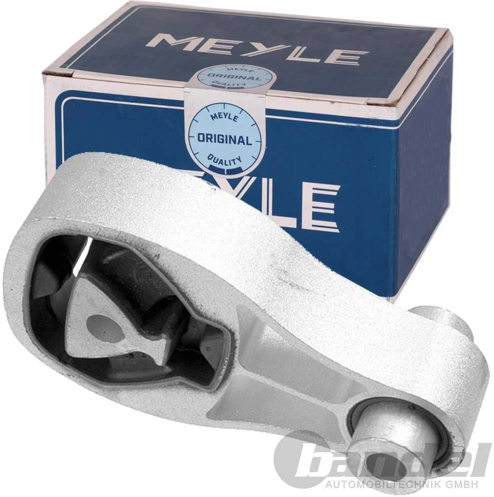 Meyle Variklio Guoliu Apatinis Priekinis Smart Fortwo Cabrio 451 Smart Fortwo Coupe 451 A1322200248 A4512400109