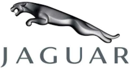 NAUJAS JAGUAR XJ X351 VENTILIACIJOS ŽARNAS C2D6362 ORIGINALUS