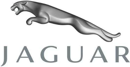 Naujas originalus Jaguar termostatas AJ811788 OEM