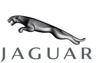 Naujas originalus Jaguar vamzdis C2Z18658 OEM