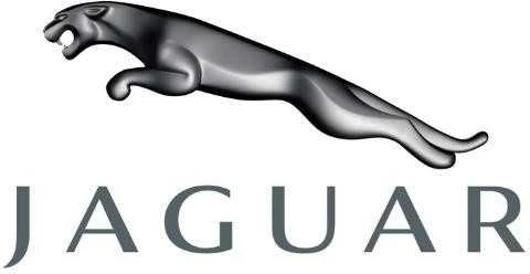 Naujas originalus Jaguar vamzdžio išleidimas AJ89664 OEM